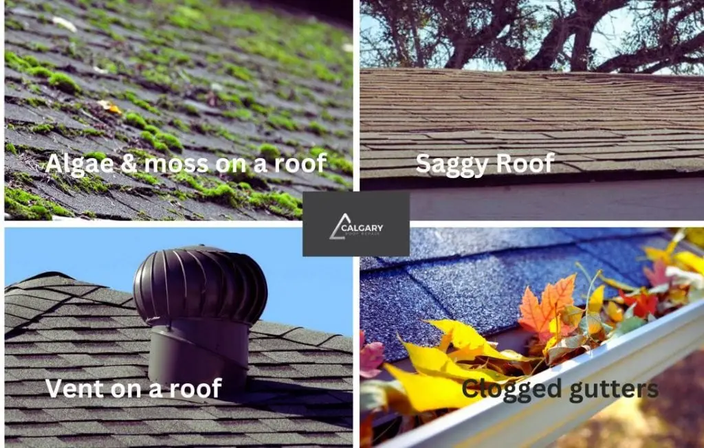 Four signs of a deteriorating roof: algae and moss, a saggy roof, a roof vent and clogged gutters